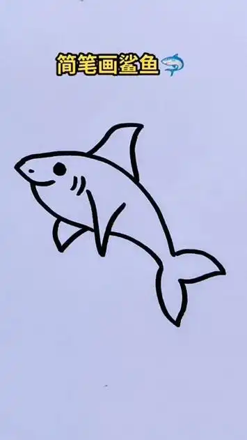 简笔画鲨鱼宝宝