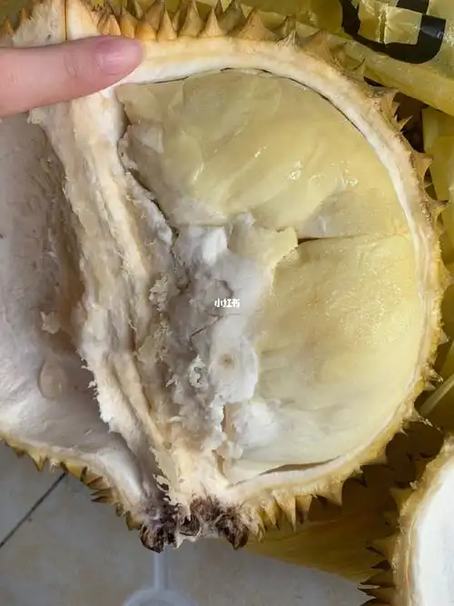 买到一个小赚的胖榴莲