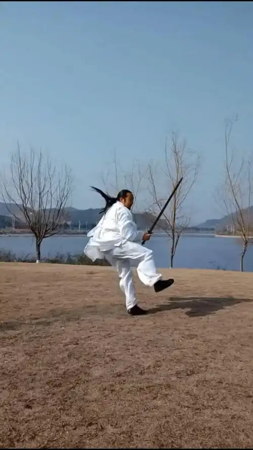 全民独门绝技咖#武当丹剑  第五段  武当剑法,翻转兮飞,武当张确後