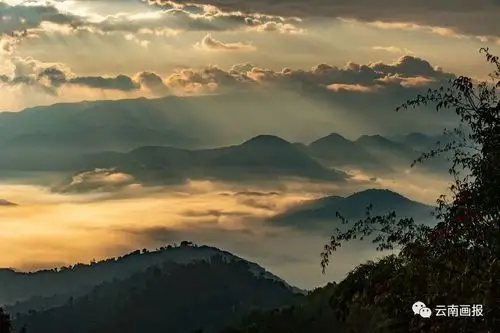 定了云南景迈山古茶林文化景观被国务院批准为中国2022年正式申遗项目