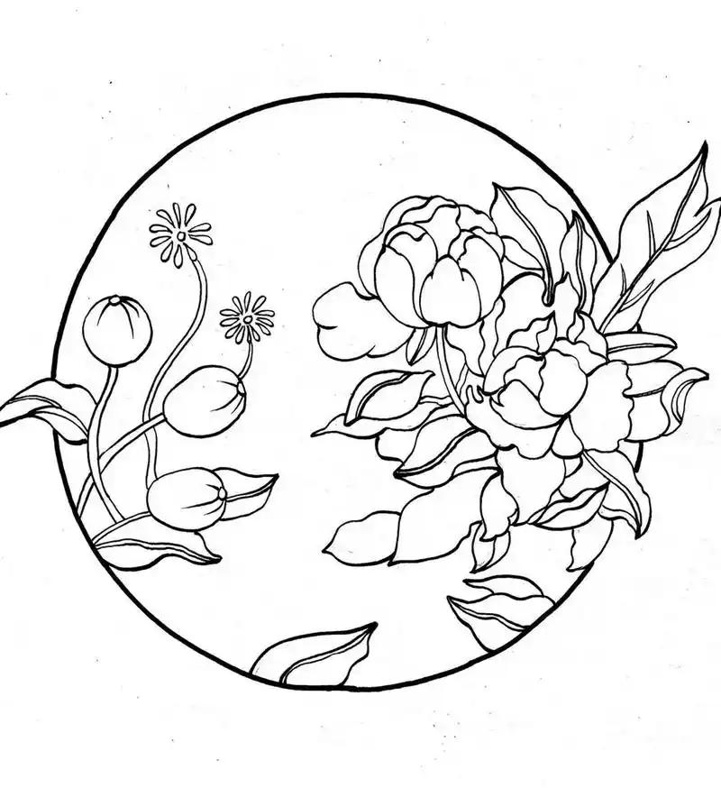 虞美人|黑白装饰画|附过程图 虞美人线稿|黑白装饰画|简单易画 笔