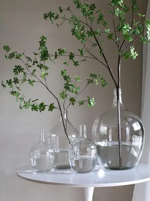 可狄北欧简约大肚玻璃花瓶日本吊钟马醉木插花水培落地花器透明大摆件