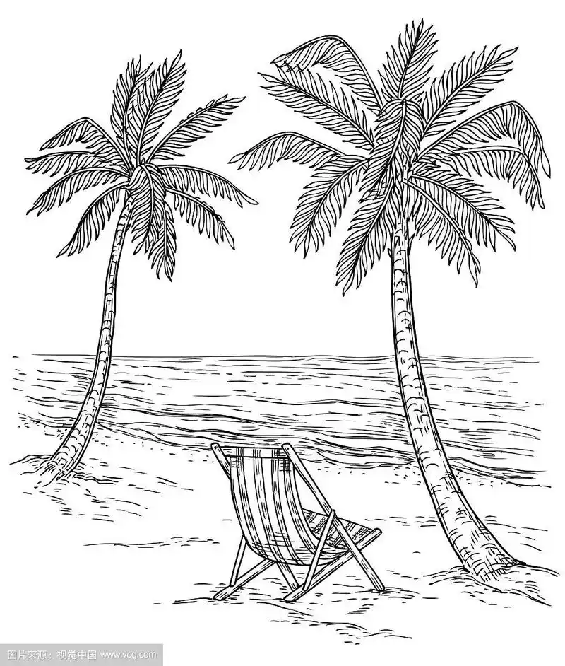 素描棕榈树景观热带棕榈滩