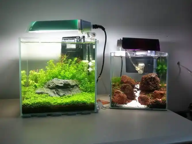 原创造景鉴赏两只小方缸青龙石火山石