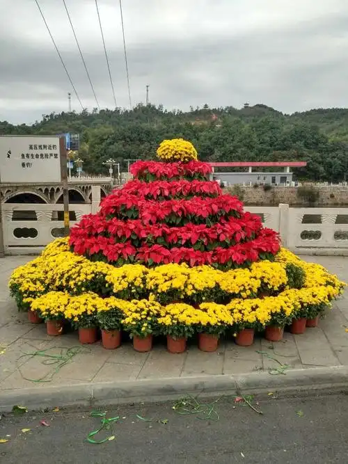 河北创城记-承德〕营子区园林局庆双节,摆花扮靓鹰城