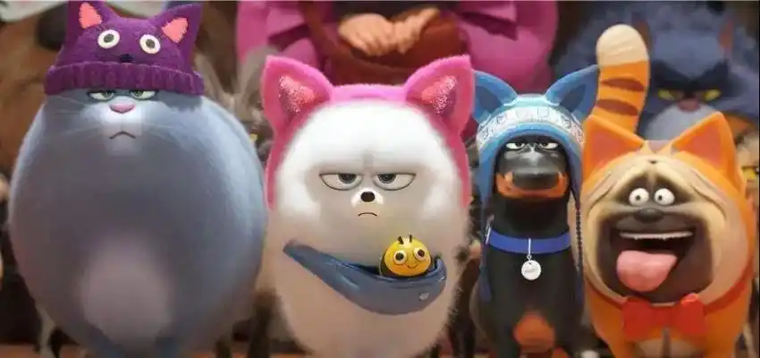 萌宠大机密夏日大作战萌力全开铲屎官舔过来