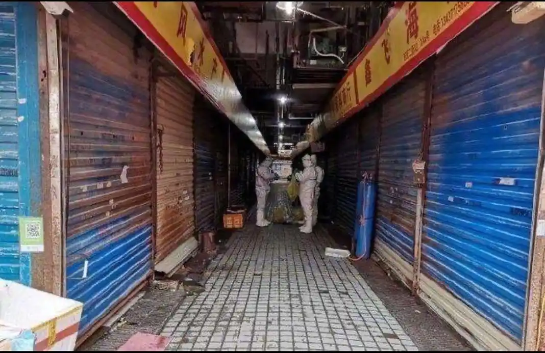 风暴前的华南海鲜市场曾因卖果子狸引发争议女老板涉34公司