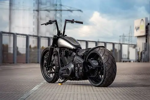 阳刚与柔美并存,德国车厂定制改装哈雷突破者