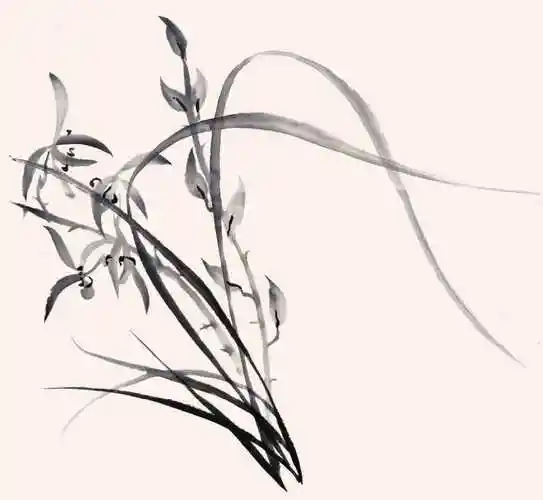 零基础国画教程:分步骤讲解5种兰花的画法,简单易学,快来临摹