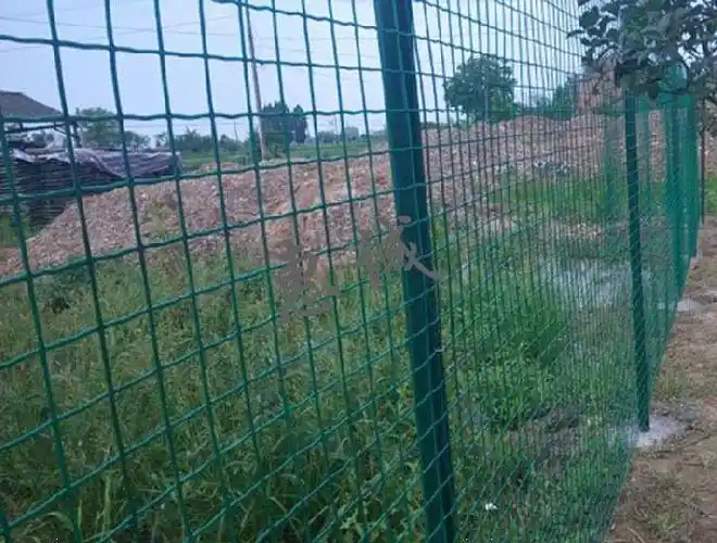 鸡舍围栏网圈地防护网拦网养鸡种菜鸡网家用养鸡网围网塑料铁丝网21粗