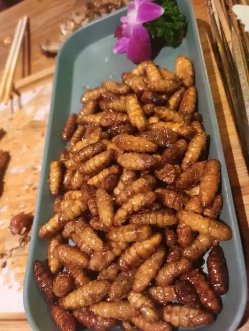 记录分享美食探店打卡