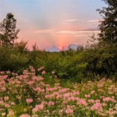 看起来很舒服的风景头像简单耐看生活照片背景图简洁唯美
