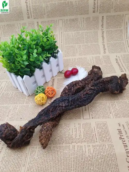 新疆肉苁蓉野生切片大芸肉丛蓉整根泡茶泡酒料配锁阳更佳500g包邮