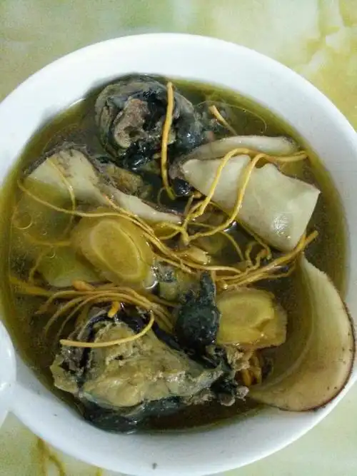 西洋参虫草花海底椰炖乌鸡