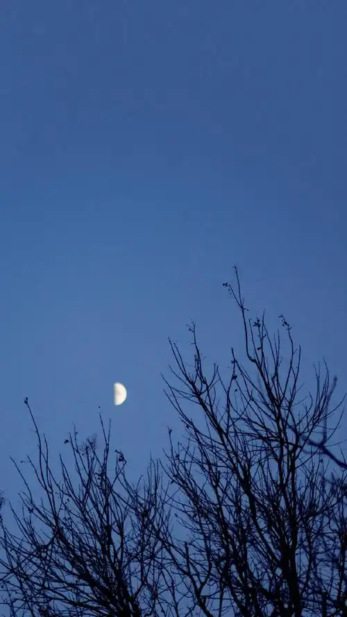 唯美夜色自然风景手机壁纸