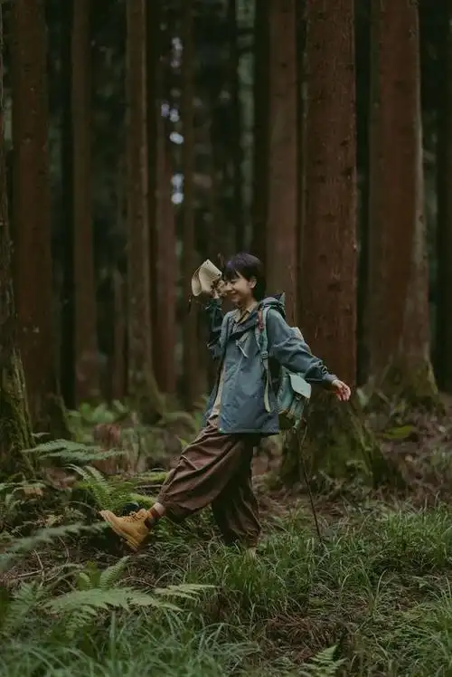 木木木林林林森森森