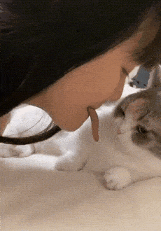 230_330gif 动态图 动图