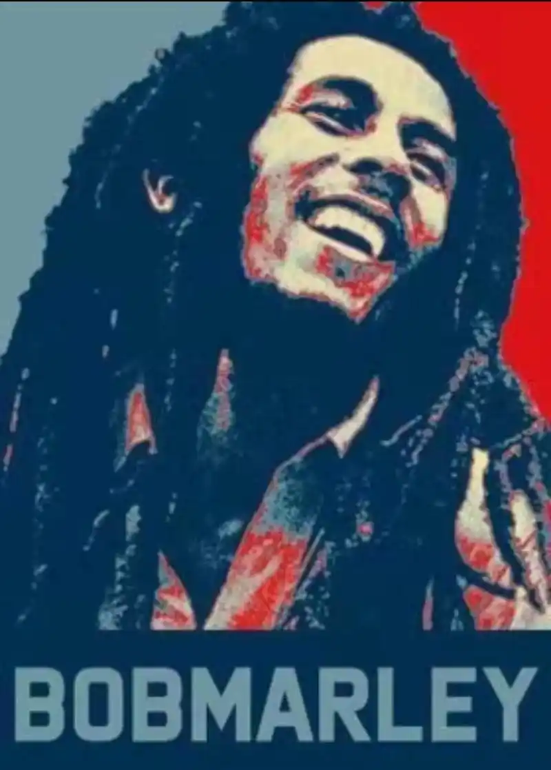 鲍勃·马利.鲍勃·马利(bob marley,1945年2月 - 抖音
