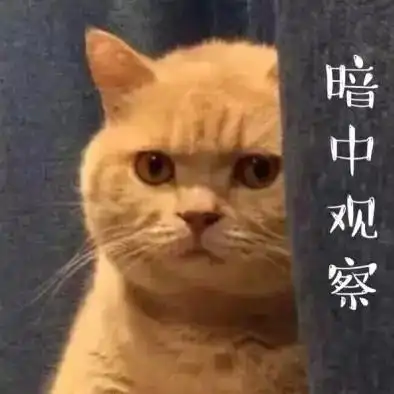 汤姆猫看小黄书表情包 - 汤姆猫看小黄书微信表情包 - 汤姆猫看小黄书