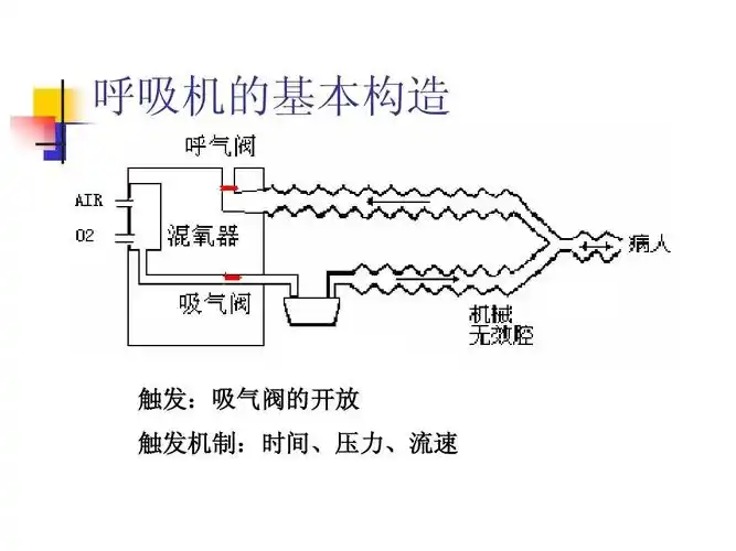 无忧文档 所有分类 医药卫生 临床医学 医用呼吸机常用模式ppt 第3页