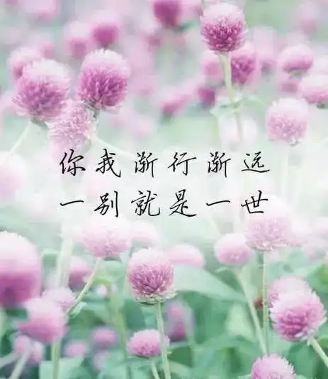 六,你我渐行渐远,一别就是一世.五,以我余生敬孤独,且以回忆度年岁.