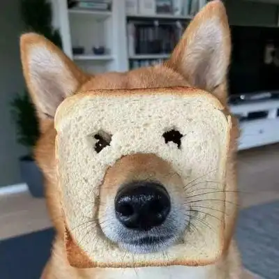 狗头_微信头像_我要个性网