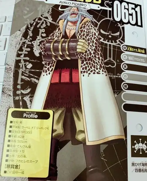 海贼王:来自神秘国度,20年前一场大战,改写凯多运命