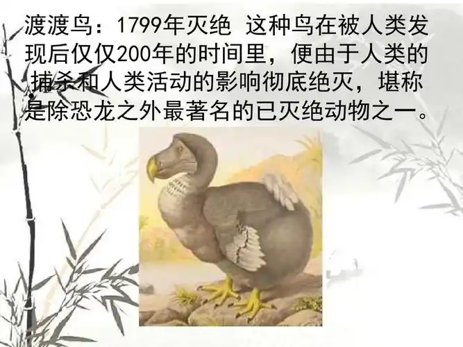 世界上已灭绝的动物ppt