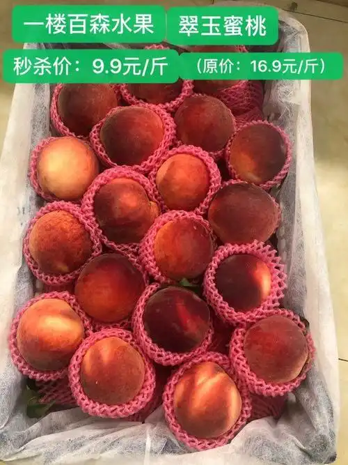 新人新景新气象