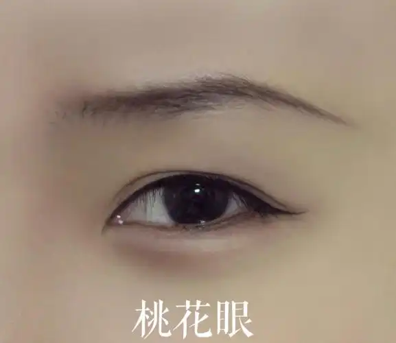 1.丹凤眼