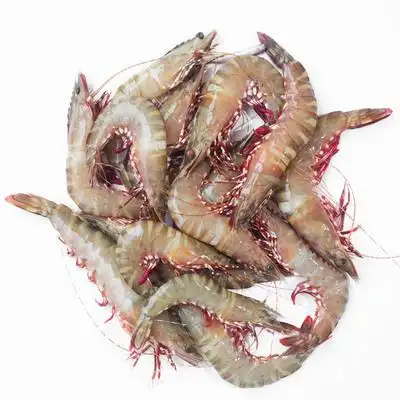 红脚野生海南文昌船冻海虾九节大虾3斤空运斑节冻虾