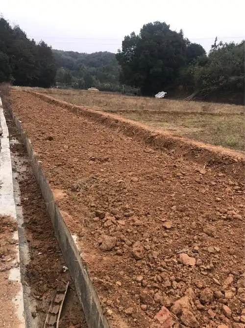 绿化带,种植土平整