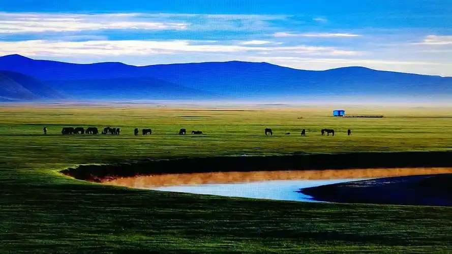 美丽的呼伦贝尔大草原 - 美篇