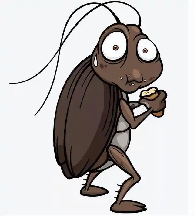 踩死的蟑螂不收拾,为什么第二天没了?