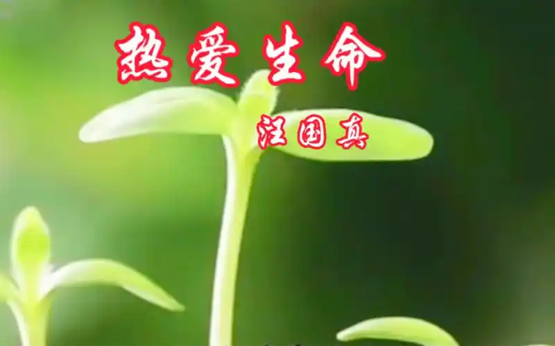 现代诗.热爱生命.汪国真