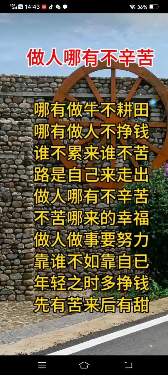 生活太多苦可我不愿认输 #随心所欲做自己#人生最好的作品就 - 抖音