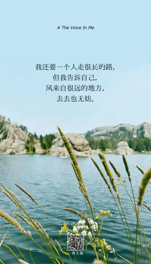 新知达人, 一些适合发朋友圈状态的文字(13)