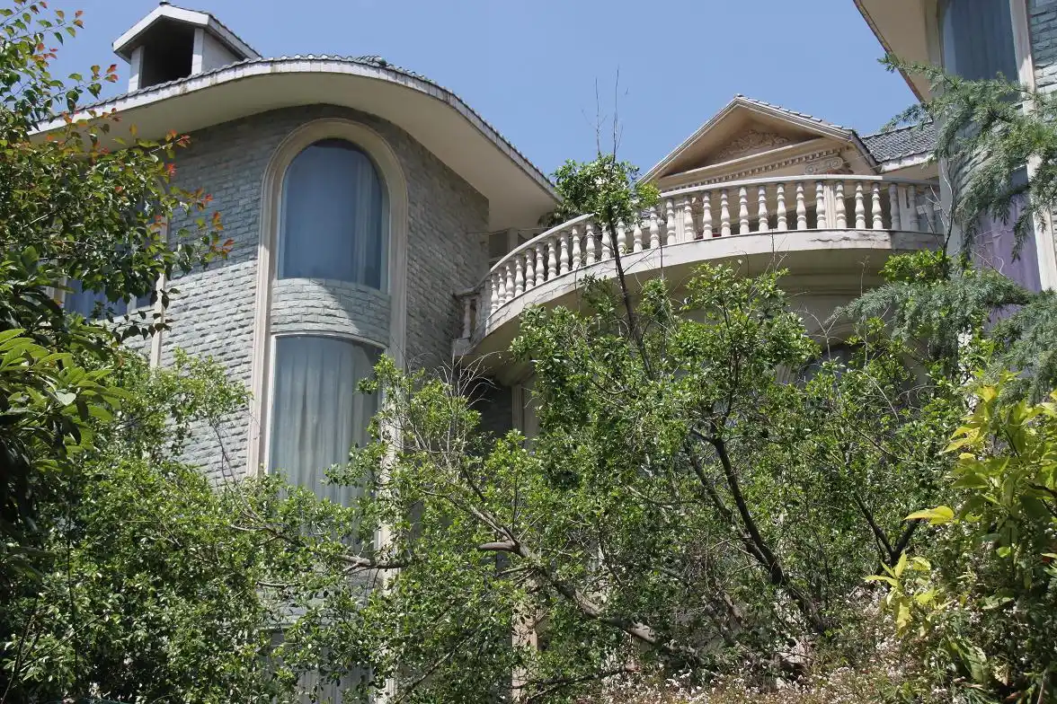 主编透露101岁杨振宁近况,若准备他身后事的素材,18亿财产成谜