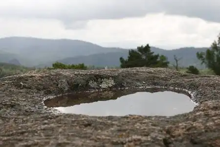 森林小水潭悬崖顶端岩石上的一个小水坑照片