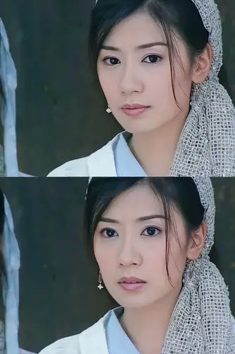 《倚天屠龙记》【赵敏】贾静雯