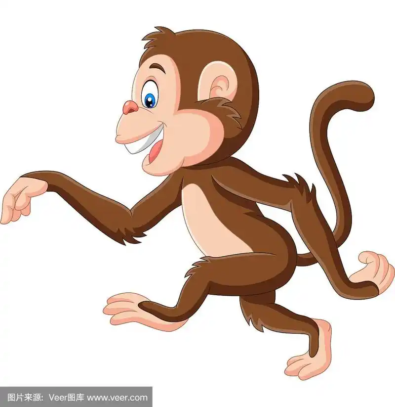 卡通有趣的猴子走在白色的背景