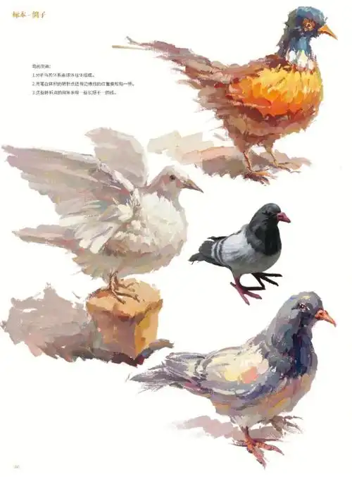 艺考生  #美术生集训  #美术联考  #美术生的日常  #色彩静物