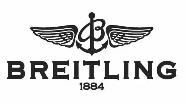 手表品牌图标汇总(原来手表品牌的logo都有这么多故事)(18)