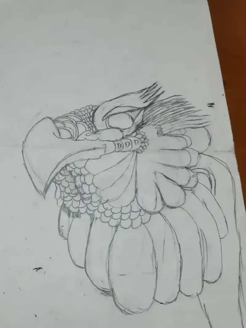 画老鹰简单画法. - 抖音