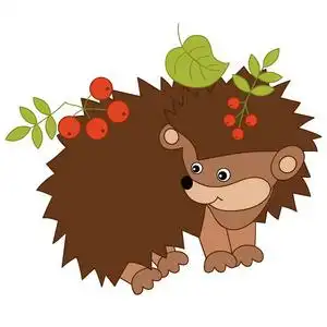 矢量可爱的卡通刺猬有叶子和果实插画