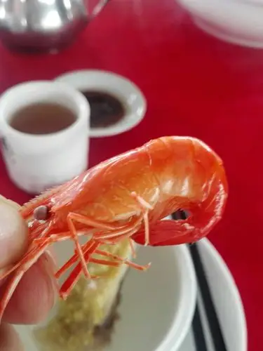 23.99公里,就为了这一只虾