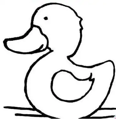 小鸭子简笔画:绿头鸭
