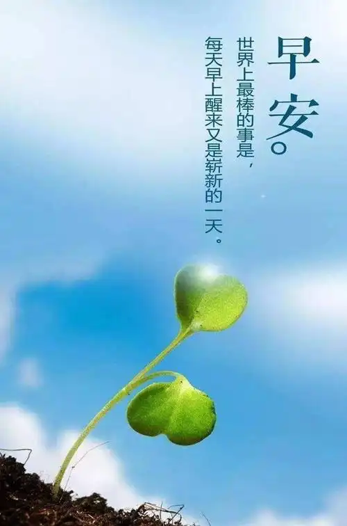 2020早安正能量心语配图励志图片无水印下载_懒人图库