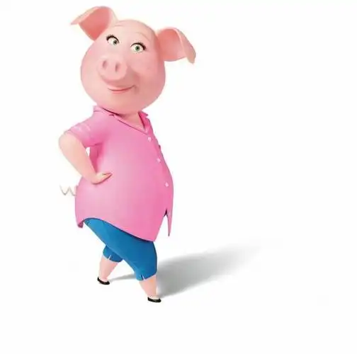 《欢乐好声音》观后感