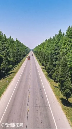 抖音同款宿州境内很漂亮的一段公路你认得是哪里吗